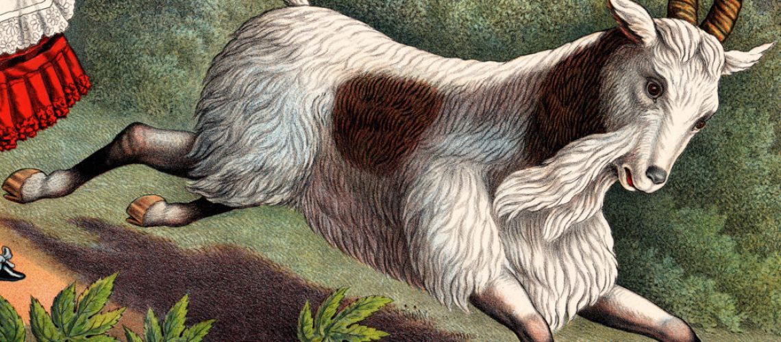 Goat 1889 Picryl Capricorn